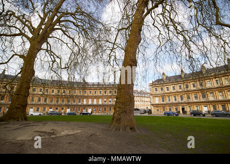 plane trees and old stone centre of the circus historic street of georgian townhouses in Bath England UK Stock Photo