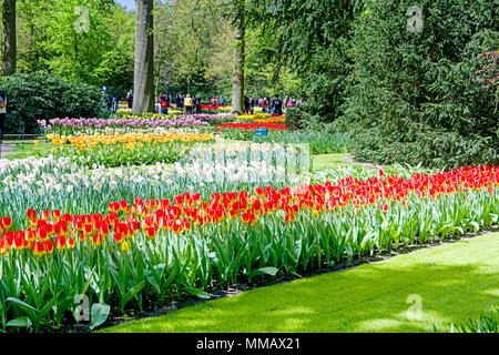 Keukenhof near Lisse (South Holland, Netherlands); Keukenhof nahe Lisse (Süd Holland, Niederland) Stock Photo