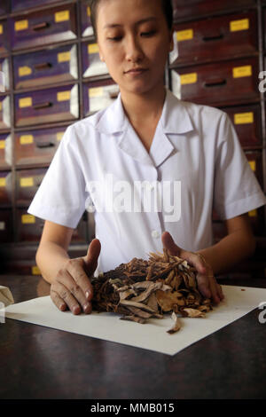 Traditional Chinese medicine pharmacy. Herbal medicine therapy. Stock Photo