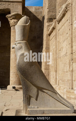 Egypt, Edfu. Temple of Horus. Pronaos. Ptolemaic period. It was built during the reign of Ptolemy III and Ptolemy XII, 237-57 BC. Granite statue of the falcon God Horus wearing the double crown of Egypt. Stock Photo