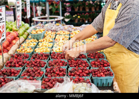 Man wearing apron standing at stall with punnets of fresh cherries at a fruit and vegetable market. Stock Photo