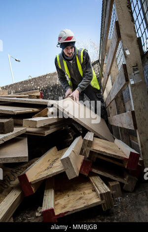 Young man wearing hard hat and reflective vest standing on top of stack of recycled wood. Stock Photo
