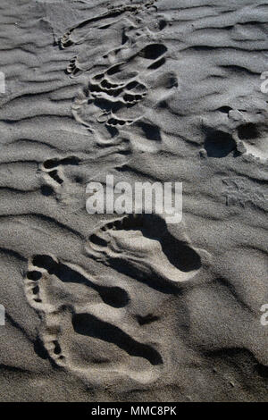 Footprints in the sand of an english beach, late afternoon on a summer family  holiday, long shadows across the ripples in the sand, Sandown, England. Stock Photo