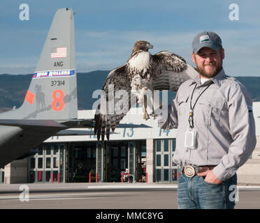 United States Air Force Wildlife Strike Report 2016 is an official report detailing bird strike data affecting Air Force aircraft. The archival image documents a wildlife biologist holding a red-tailed hawk captured with a pigeon noose harness on September 29, 2017, referencing data that ranked the species 17th in total strikes from 1995 to 2016. Stock Photo