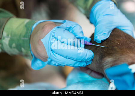 A local resident from Humacao, Puerto Rico is prepared for hand surgery ...