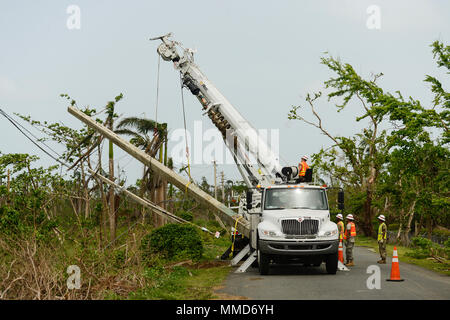 249th Engineering Battalion is a specialized Army unit tasked with large-scale electrical generation and distribution. Hurricane Maria caused extensive infrastructure damage across Puerto Rico in 2017. The archival image documents D Company Prime Power personnel installing a concrete utility pole in Rio Grande on Oct. 19, 2017, in support of FEMA-led recovery missions. Stock Photo