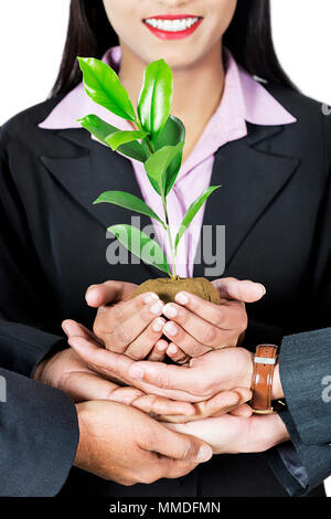 Close-up Business People Team Holding Plant saving world environment, tree-care Stock Photo