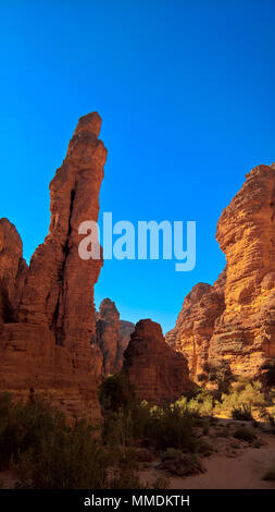 Bizzare rock formation at Essendilene, in Tassili nAjjer national park, Algeria Stock Photo