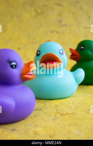 Still life of three colourful rubber ducks Stock Photo