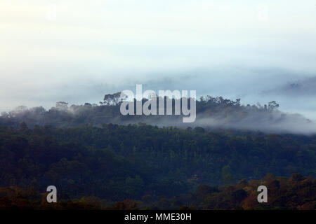 TRIBALS OF WAYANAD Stock Photo - Alamy