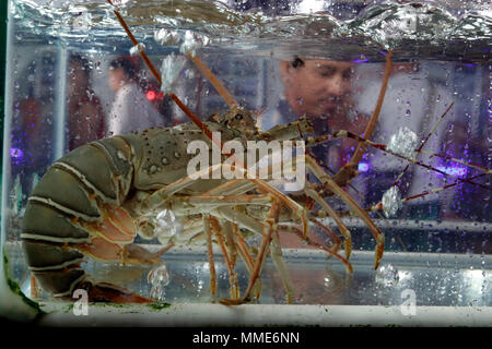 Seafood restaurant in Duong Dong town. Lobster. Phu Quoc. Vietnam. Stock Photo