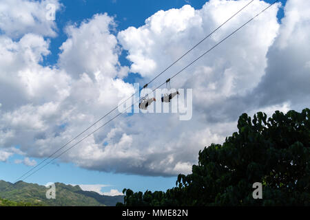 Tourists on the Zip Line at Bohol Island, Philippines Stock Photo