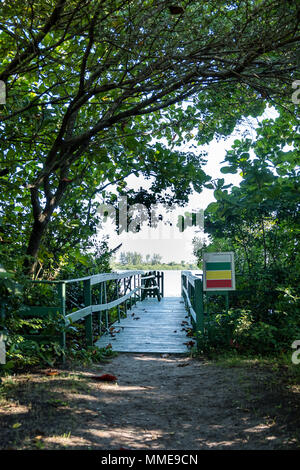 Pathway to small wooden dock in lake, covered in vegetation. Lake can be seen in the background. Marapendi Lagoon, Rio de Janeiro. Stock Photo