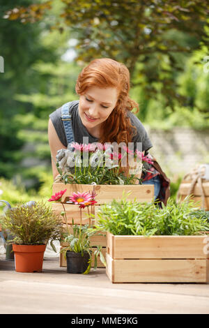 Smiling red-haired woman smelling pink flowers and relaxing on the terrace Stock Photo