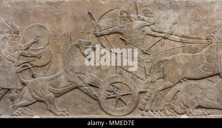 London. England. British Museum. King Ashurnasirpal II Hunting Lions. Stone wall panel relief, (865-860 BC) from the North-West Palace of Ashurnasirpa Stock Photo