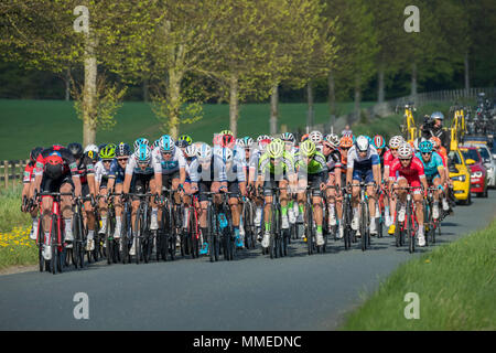 Male cyclists in peloton, competing in Tour de Yorkshire 2018 & racing on  flat, scenic, countryside lane near Ilkley, North Yorkshire, England, UK. Stock Photo