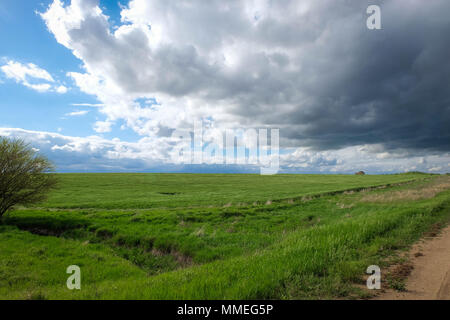 Beautiful country landscape. Stock Photo