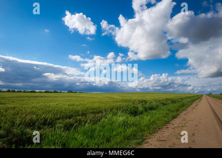 Beautiful country landscape. Stock Photo