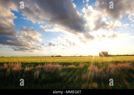 Beautiful country landscape. Stock Photo