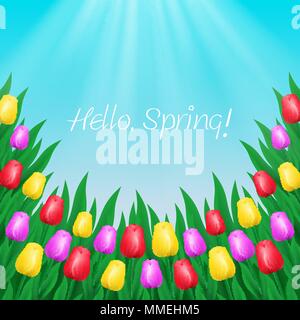 Multicolored tulips on sky background Stock Vector