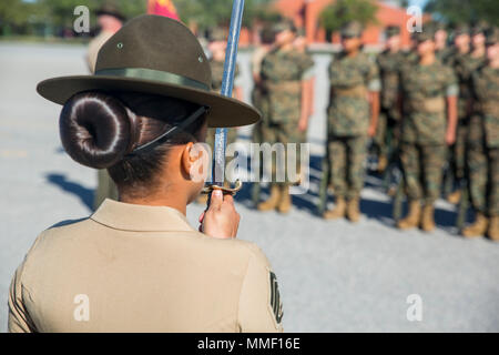 Drillmasters Experts On The Marine Corps Drill And Ceremonies Manual Grade Recruits Of Platoon