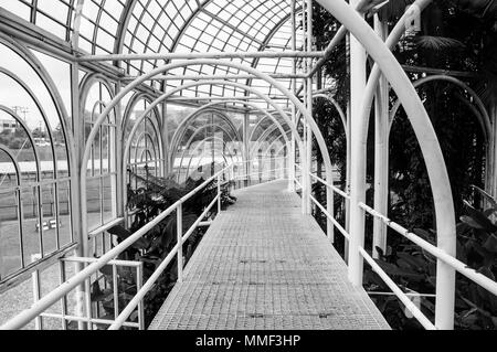 metallic  architecture  Botanical garden Curitiba indoors structurehall greenhouse black white Stock Photo