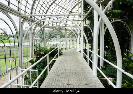 metallic  architecture  Botanical garden Curitiba indoors structurehall greenhouse Stock Photo