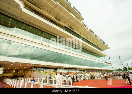 Singapore Singapore November 16 2014 The Longines Gold Cup