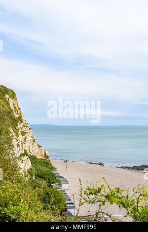 The chalk cliffs of Beer Head above the beach alongside the english channel next to the village of Beer on the south coast of Devon, England. Stock Photo
