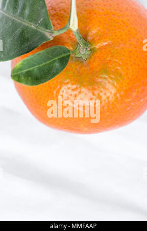 Banner Ripe tangerines with green leaves on a bright blue background ...