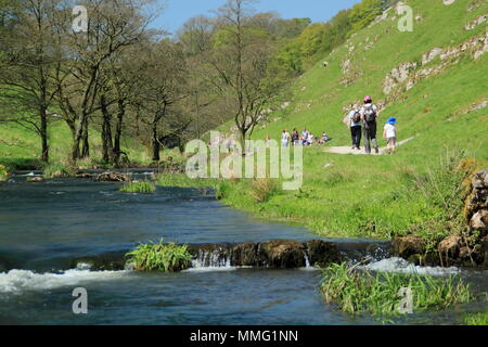 Walkers on public footpath by the River Dove in Wolfscote Dale, Peak District on a beautiful spring day (May), Derbyshire, England, UK Stock Photo