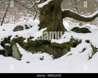 Derbyshire countryside after snowfall England Stock Photo