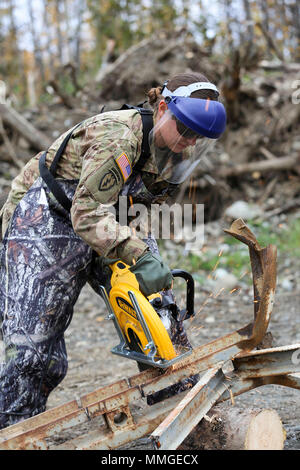 Sgt. Corine Barrera, a horizontal construction sergeant with the 207th Engineer Utilities Detachment, participates in a field demonstration using the new Hydraulic, Electric, Pneumatic, Petroleum Operated Equipment system at the Engineer Training Facility at Camp Carroll on Joint Base Elmendorf-Richardson, Alaska, Sept. 27, 2017. The HEPPOE system contains hydraulic pneumatic tools to saw, bend, cut, and destroy concrete, rebar, trees, and other debris. The new equipment will help the engineers accomplish construction projects both downrange and in garrison, and is an added response capability Stock Photo