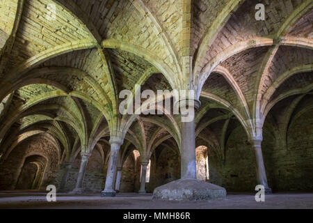The remains of the undercroft at the historic Battle Abbey in East Sussex, UK. Stock Photo