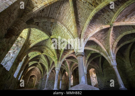 The remains of the undercroft at the historic Battle Abbey in East Sussex, UK. Stock Photo