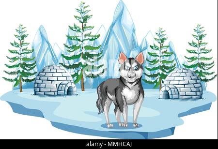 Siberian Husky Dog in Arctic illustration Stock Vector