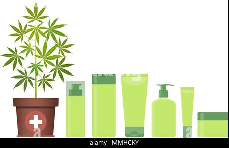 Marijuana or cannabis plant in pot with hemp cosmetic products. Cream, shampoo, soap, gel, lotion, balm. Natural ecological cosmetics. Medical cannabi Stock Vector