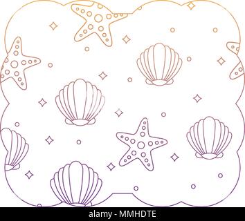 decorative frame with seashell and sea stars pattern over white background, vector illustration Stock Vector