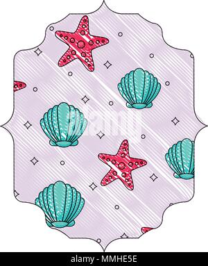 arabic frame with seashell and sea stars pattern over white background, vector illustration Stock Vector