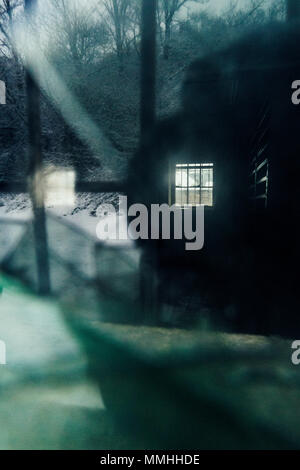shadowy figure reflected in a broken barred window, reflected trees, Stock Photo