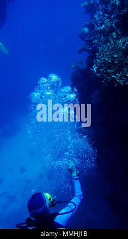 diver, scuba diving great barrier reef, an amazing experience Stock Photo