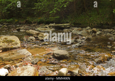 Vistula source in polish mountains Stock Photo