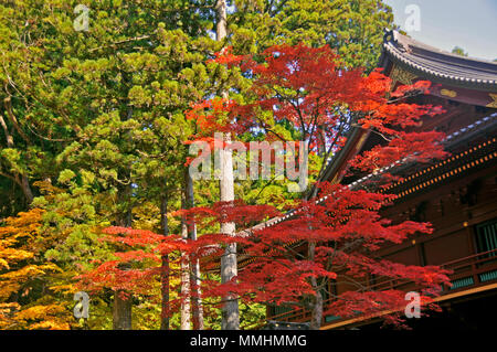 Shrine and fall colors in the Toshogu Temple, Nikko, Japan Stock Photo