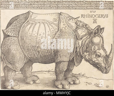 R-20101201-0031.jpg Albrecht Dürer (German, 1471 - 1528 ), The Rhinoceros, 1515, woodcut, Rosenwald Collection Albrecht Dürer - The Rhinoceros (NGA 1964.8.697) Stock Photo