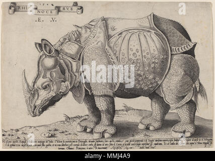 R-20110927-0029.jpg Enea Vico after Albrecht Dürer (Italian, 1523 - 1567 ), Rhinoceros, 1548, engraving on laid paper, Gift of Mrs. Robert A. Hauslohner Enea Vico after Albrecht Dürer - Rhinoceros Stock Photo