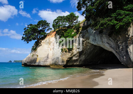 Cave as a entrance to the beautiful Cathedral Cove, Coromandel, North Island, New Zealand Stock Photo