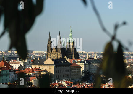 St. Vitus Cathedral in Prague Castle Stock Photo