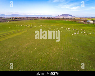Landscape with sheep in the Roman countryside. Aerial view of Mount Soratte in Italy. Stock Photo