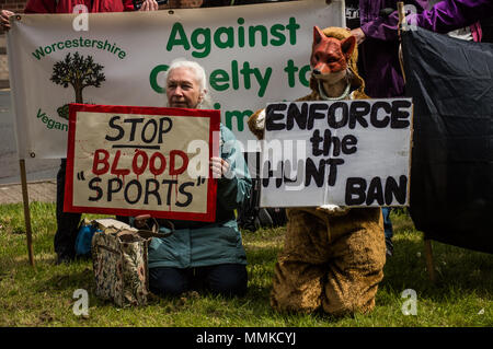 Herefordshire, UK. 12th May 2018. Protestors gather in front of Hereford Police station to demand that wildlife crimes be properly investigated by the Police and CPS, following charges being brought against people involved with the South Herefordshire Hunt in Hereford on May 12 2018. Credit: Jim Wood/Alamy Live News Credit: Jim Wood/Alamy Live News Stock Photo