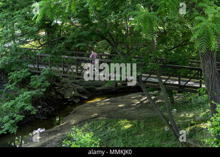 Tuscaloosa, Alabama, USA. 12th May, 2018. This man was taking his dogs for a walk along the Warrior River in Tuscaloosa, Alabama on Saturday, May 12th 2018. It was another beautiful morning with an expected high in the low 90's. Credit: Credit: /ZUMA Wire/Alamy Live News Stock Photo